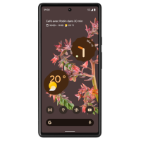 appareil Téléphone-Portable Google Pixel-6